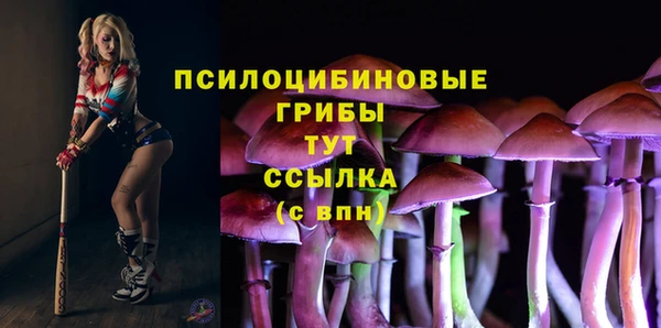 сатива Балахна