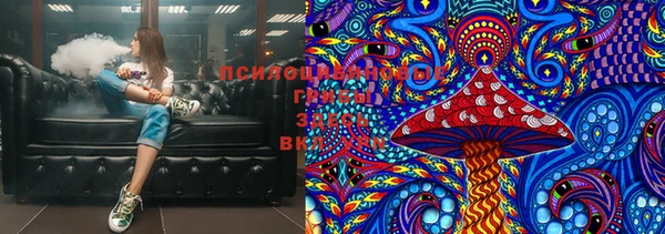 кокс Баксан