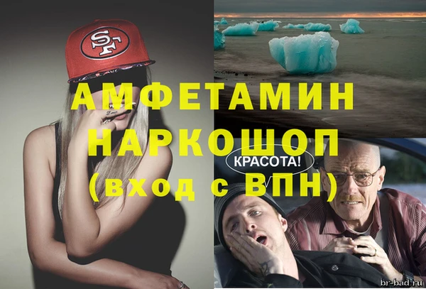 сатива Балахна