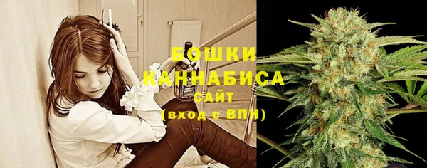 сатива Балахна