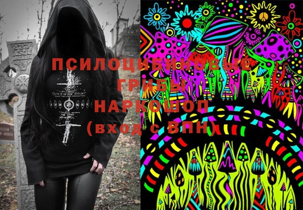 кокс Баксан