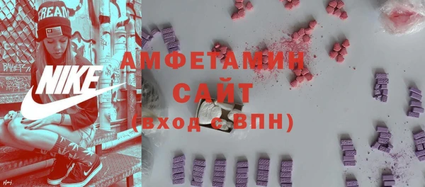 сатива Балахна