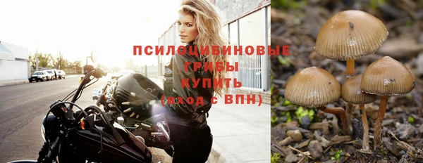 крисы Балабаново
